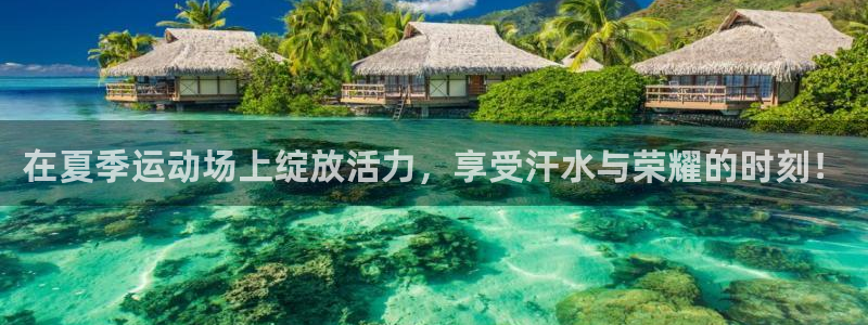 风速体育官网：在夏季运动场上绽放活力，享受汗水与荣耀的时刻！