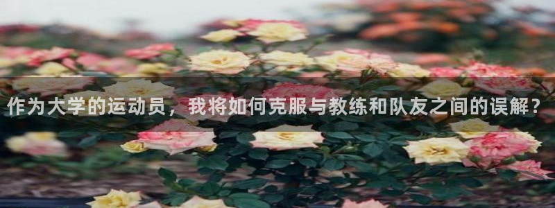 风速体育app官方下载：作为大学的运动员，我将如何克服与教练和队友之间的误解？