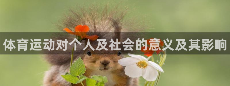 风速体育cba直播：体育运动对个人及社会的意义及其影响