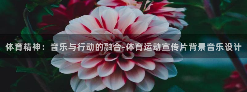 风速体育app官方下载：体育精神：音乐与行动的融合-体育运动宣传片背景音乐设计