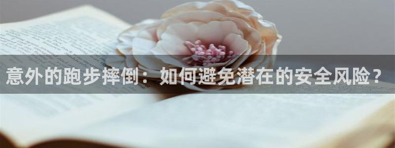 风速体育