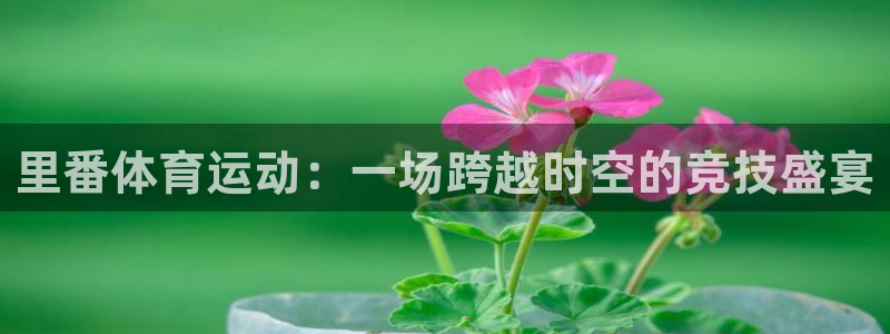 风速体育